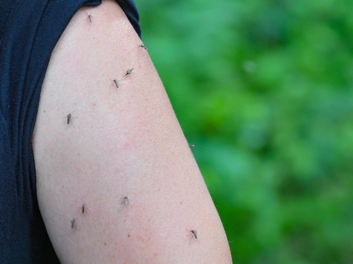Как правильно наносить средства от насекомых на тело: рассказывает специалист