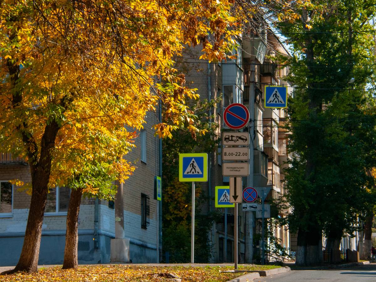 Яркое время года: психолог объяснила, как полюбить осень