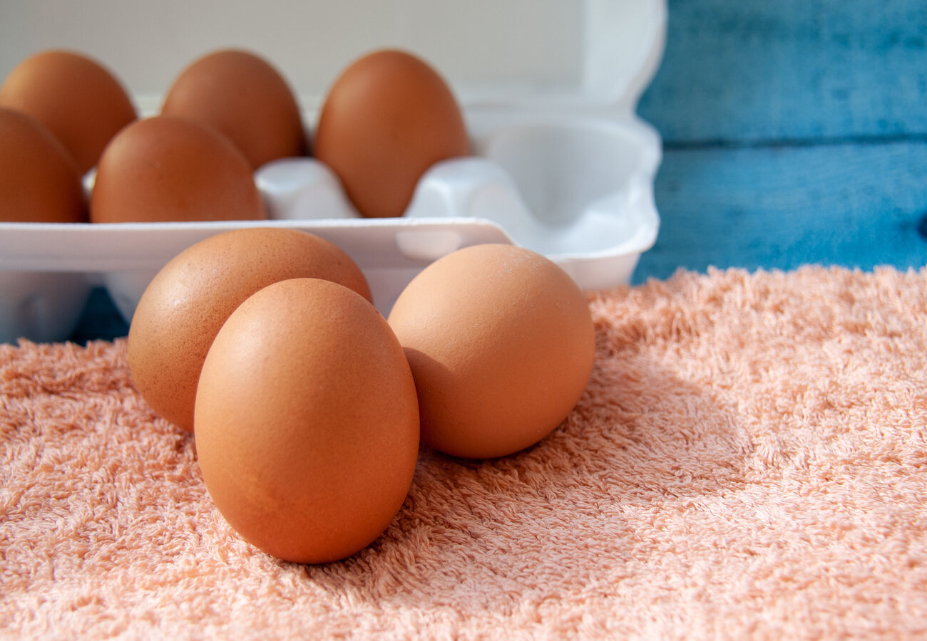 Вся семья будет довольна: топ-5 способов сварить идеальные яйца вкрутую