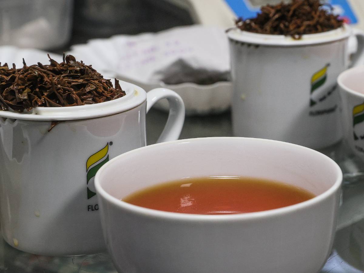 Не пейте чай: эксперт объяснил, чем опасно подобное увлечение