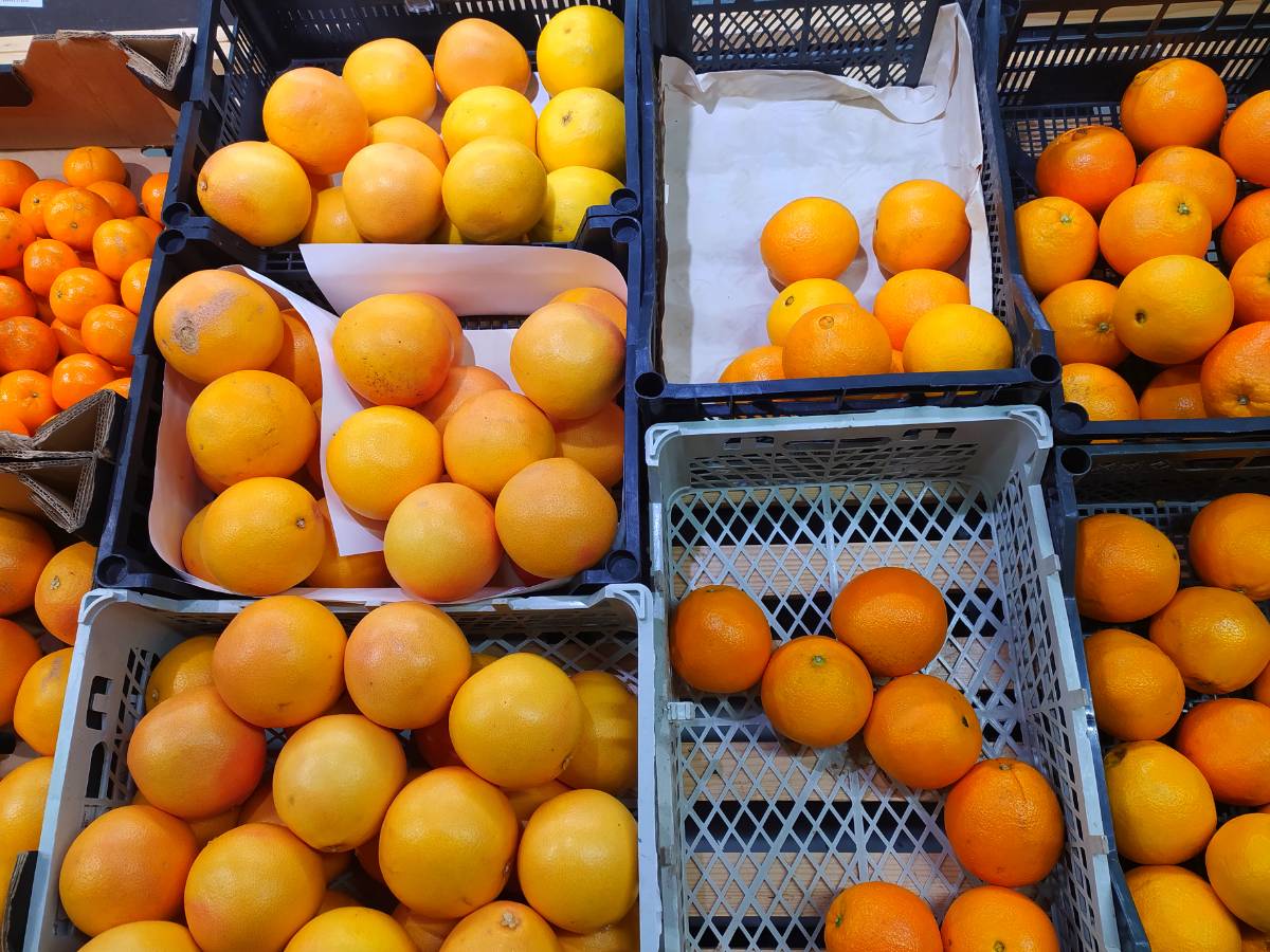 Не фрукт, а наказание: вот как правильно выбрать апельсин – инструкция от эксперта