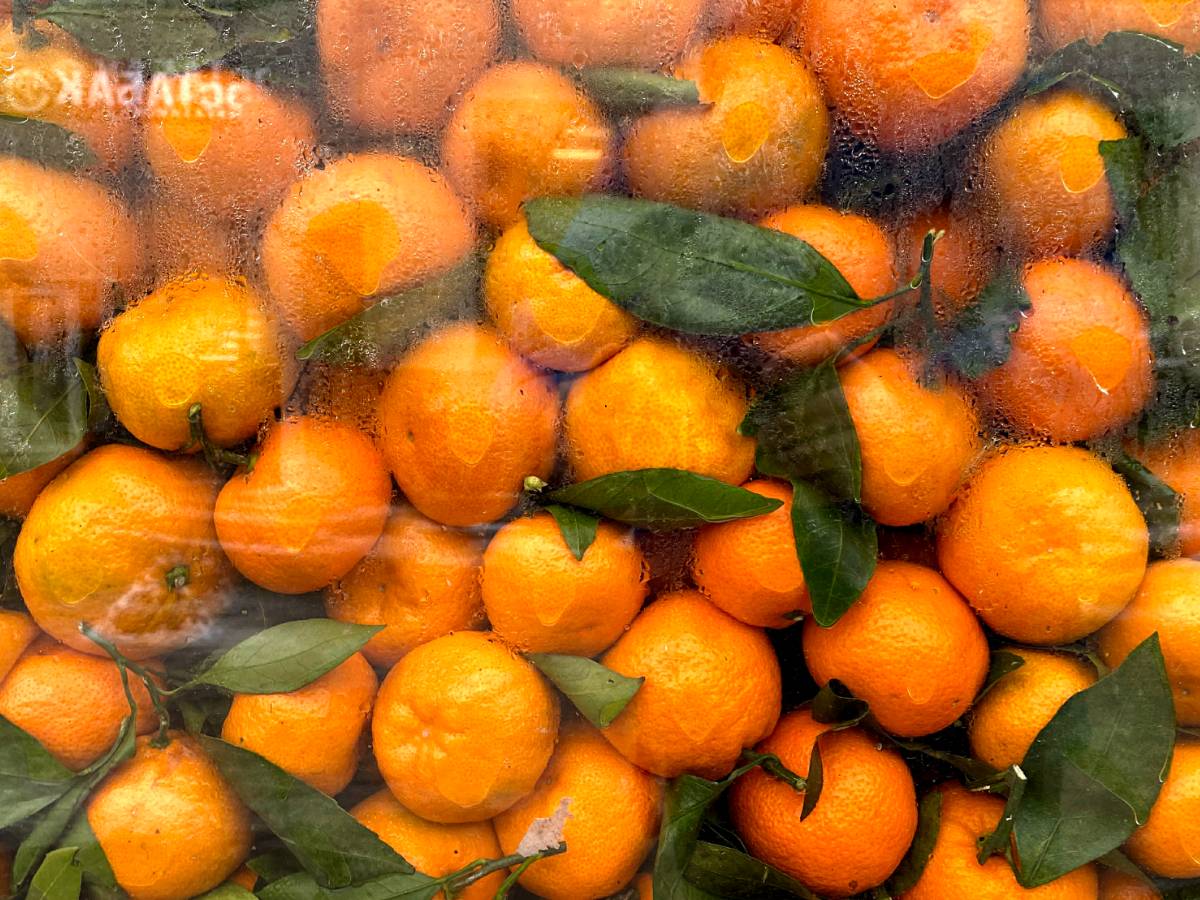 Без гнили и пятнышек: вот как сохранить мандарины свежими после Нового года